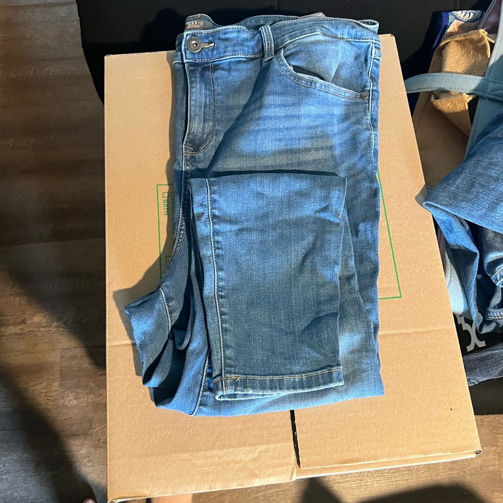 Stylish Light Blue Torrid Skinny Jeans for Women